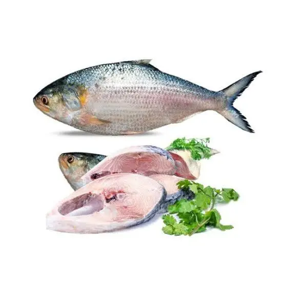 Ilish Premium(পদ্মার ইলিশ)/ 1 KG